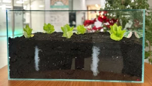 Agua sólida biodegradable desarrollada por AIMPLAS para retener humedad y reducir la frecuencia de riego