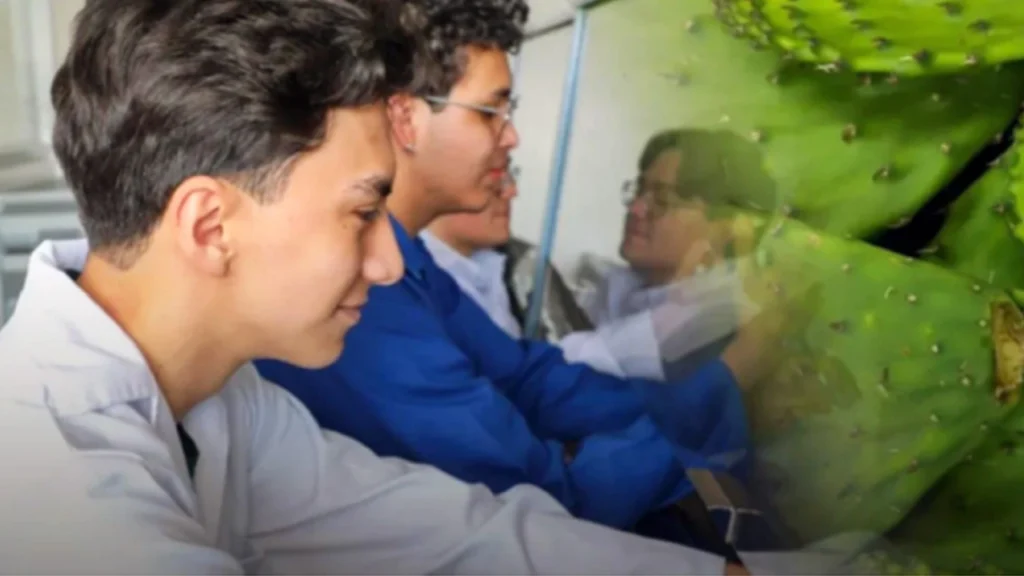 Hacia una nueva generación de biomateriales: entrevista exclusiva con los creadores de un bioplástico mexicano