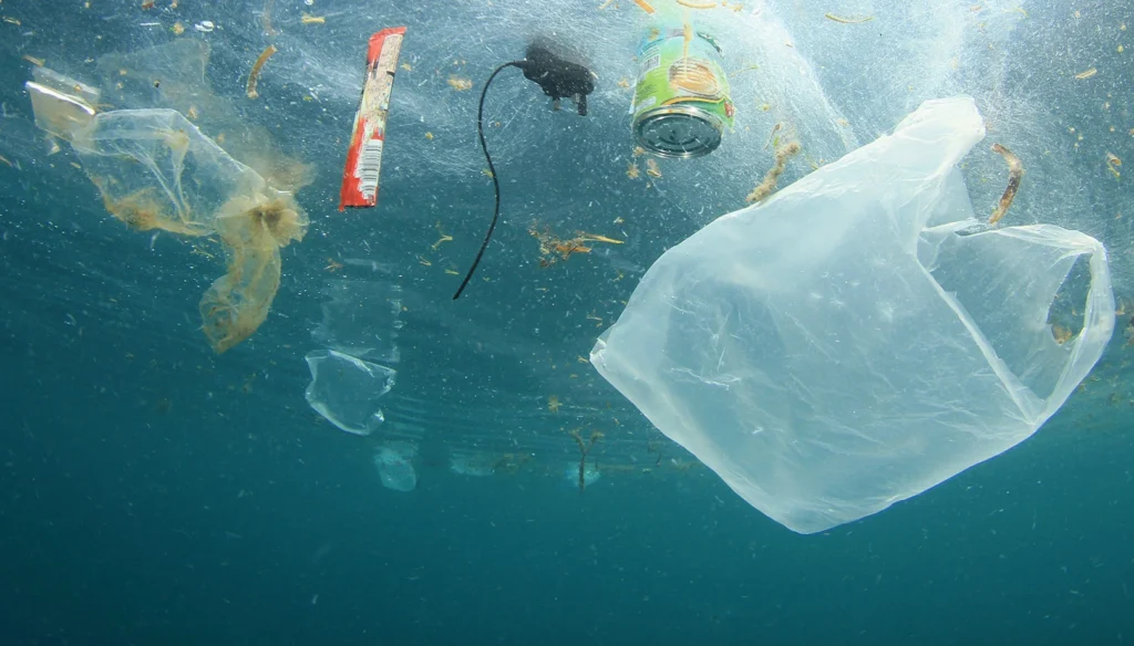 Inteligencia artificial detecta residuos plásticos en el fondo marino con mayor precisión