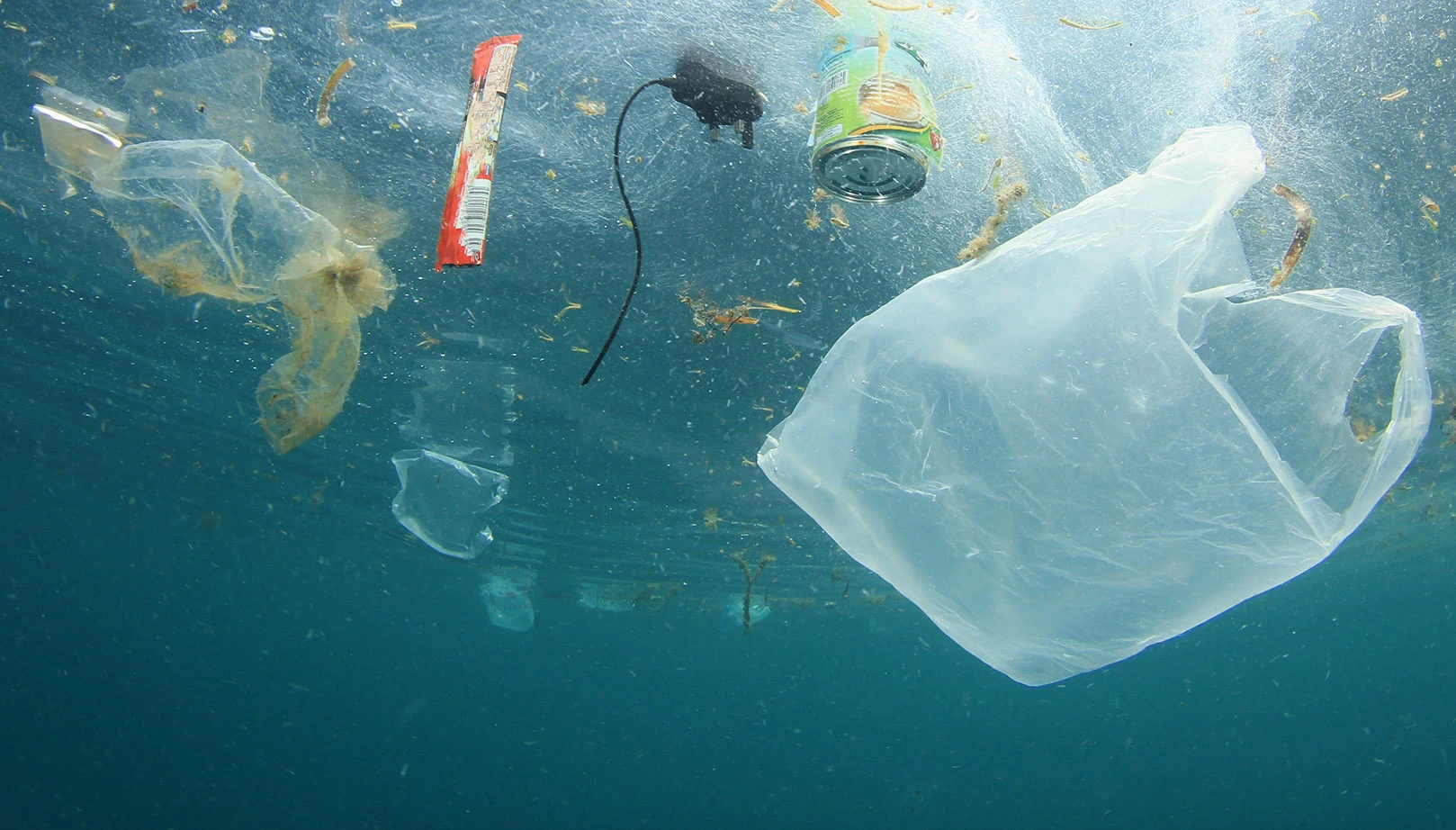 Inteligencia artificial detecta residuos plásticos en el fondo marino con mayor precisión